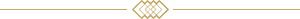 line ornament 300x19 1 2 2 1 2